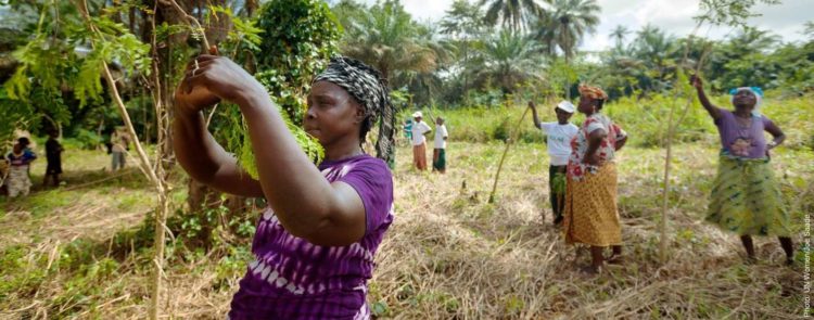 Rural women lead solutions and solidarity in the wake of COVID-19