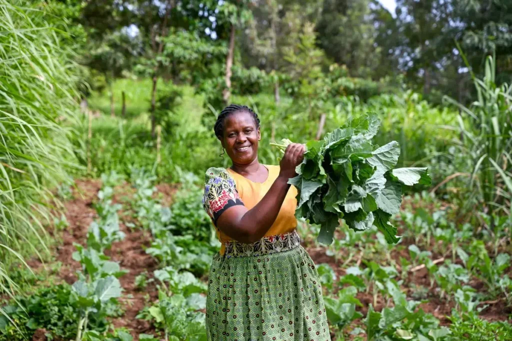 Rhoda Lukaria harvests fresh vegetables, grown using climate-smart agricultural techniques, from her family farm in Laikipia county, Kenya. Photo: UN Women/James Ochweri